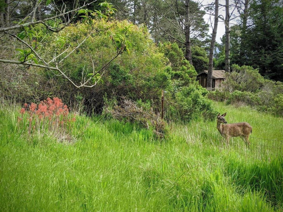 The Quail'S Nest Retreat Villa Point Reyes Station Eksteriør billede